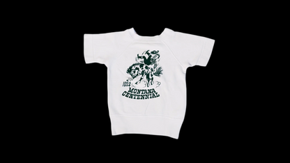 Vintage Montana Centennial Shirt
