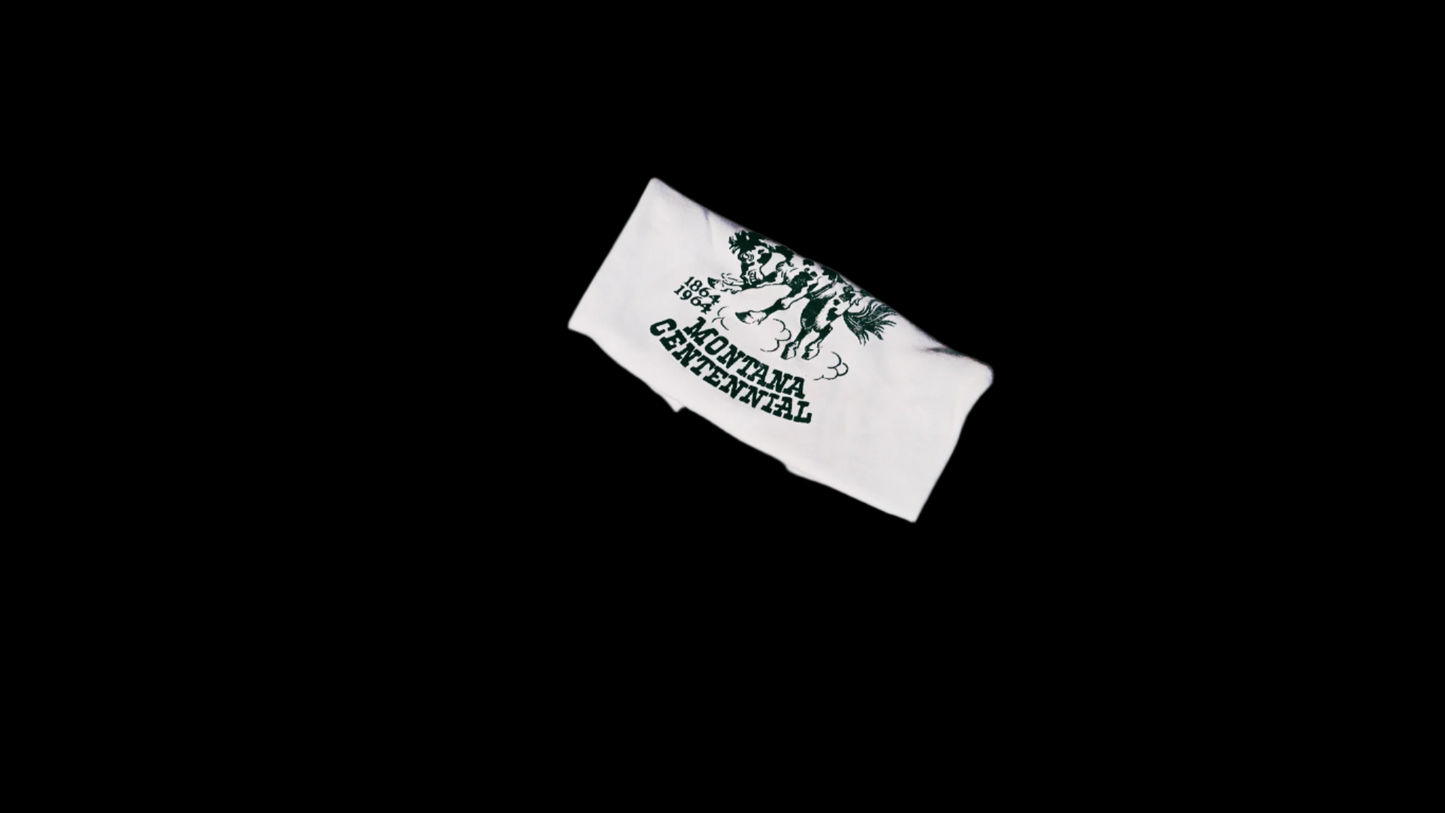 Vintage Montana Centennial Shirt