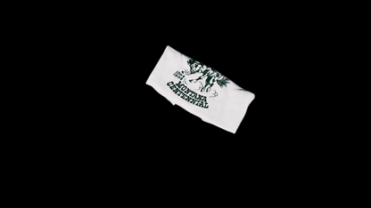 Vintage Montana Centennial Shirt